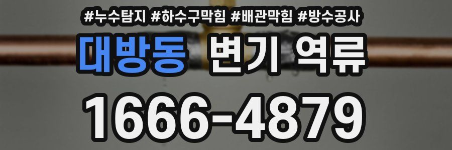 대방동 변기 역류
