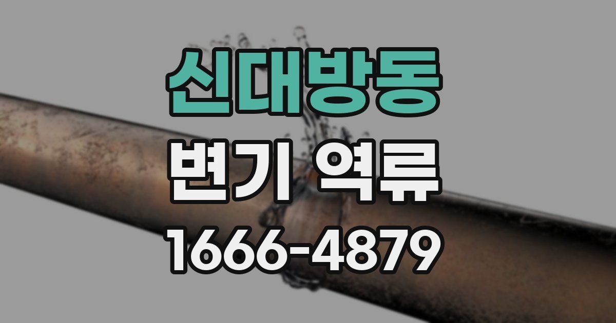 신대방동 변기 역류