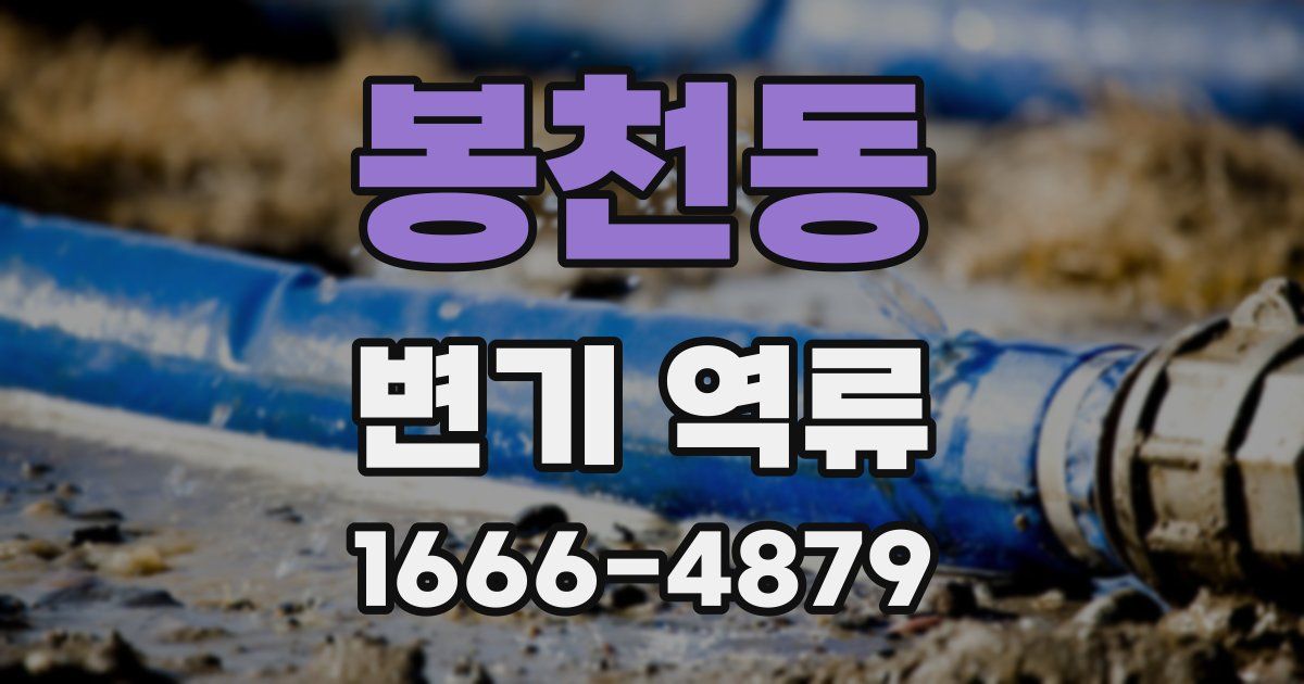 봉천동 변기 역류