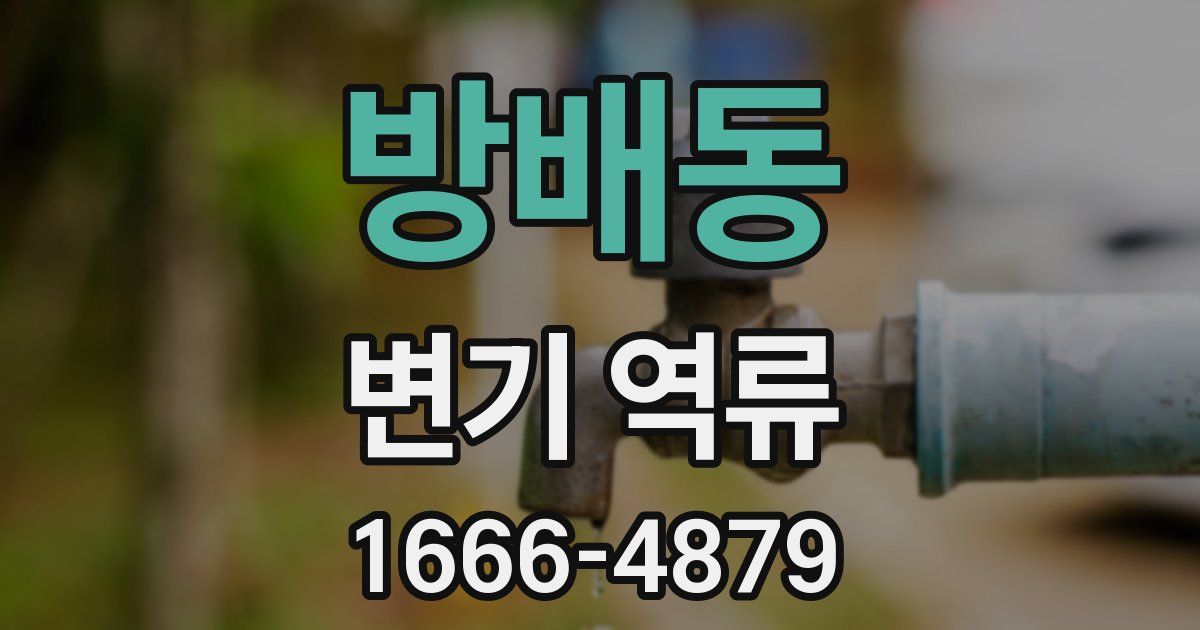 방배동 변기 역류