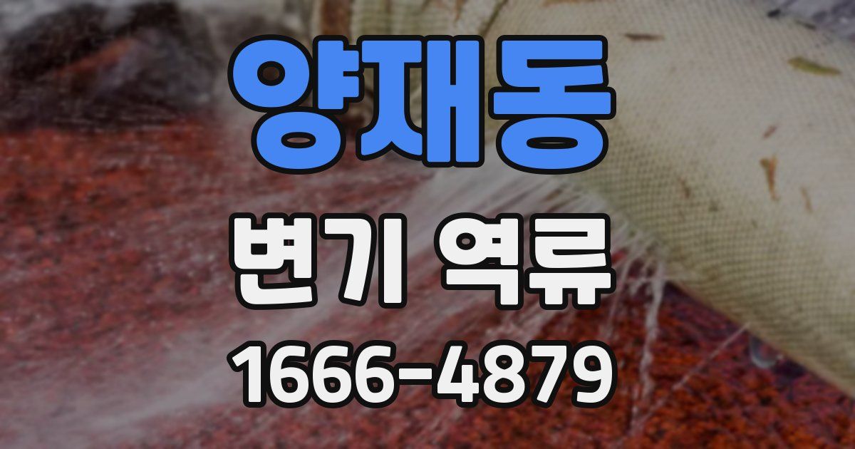 양재동 변기 역류