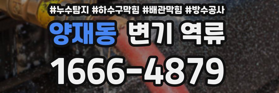 양재동 변기 역류