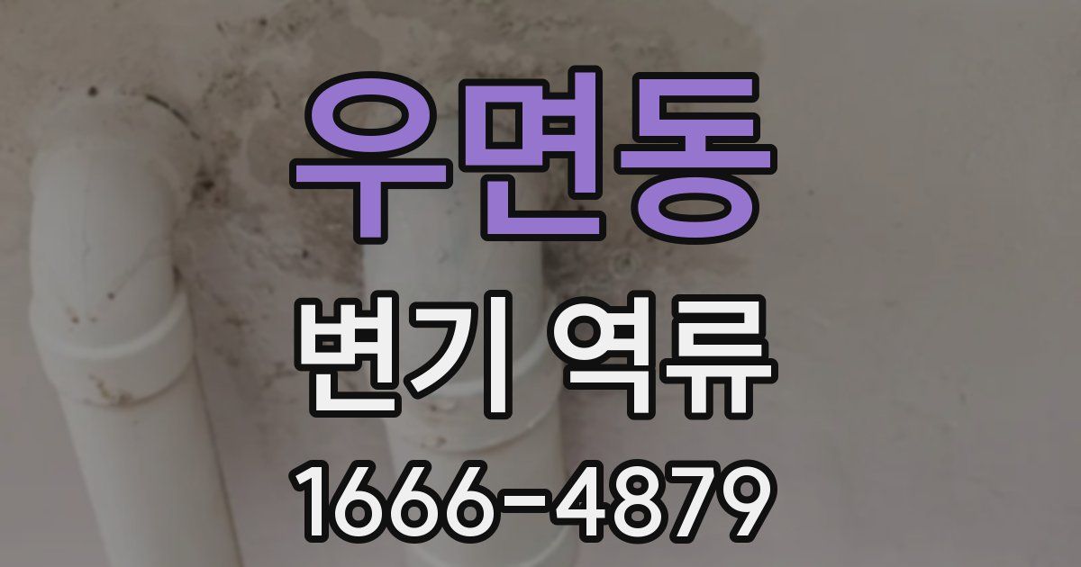 우면동 변기 역류