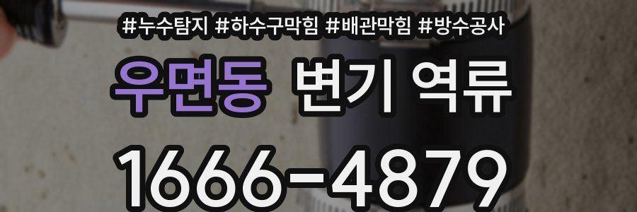 우면동 변기 역류