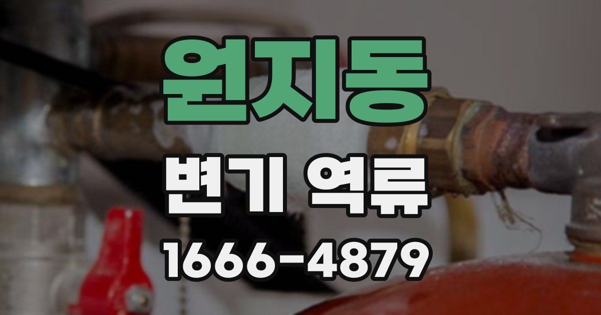 원지동 변기 역류