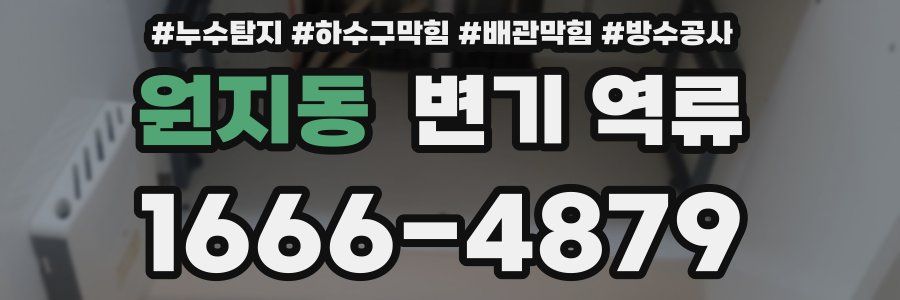 원지동 변기 역류