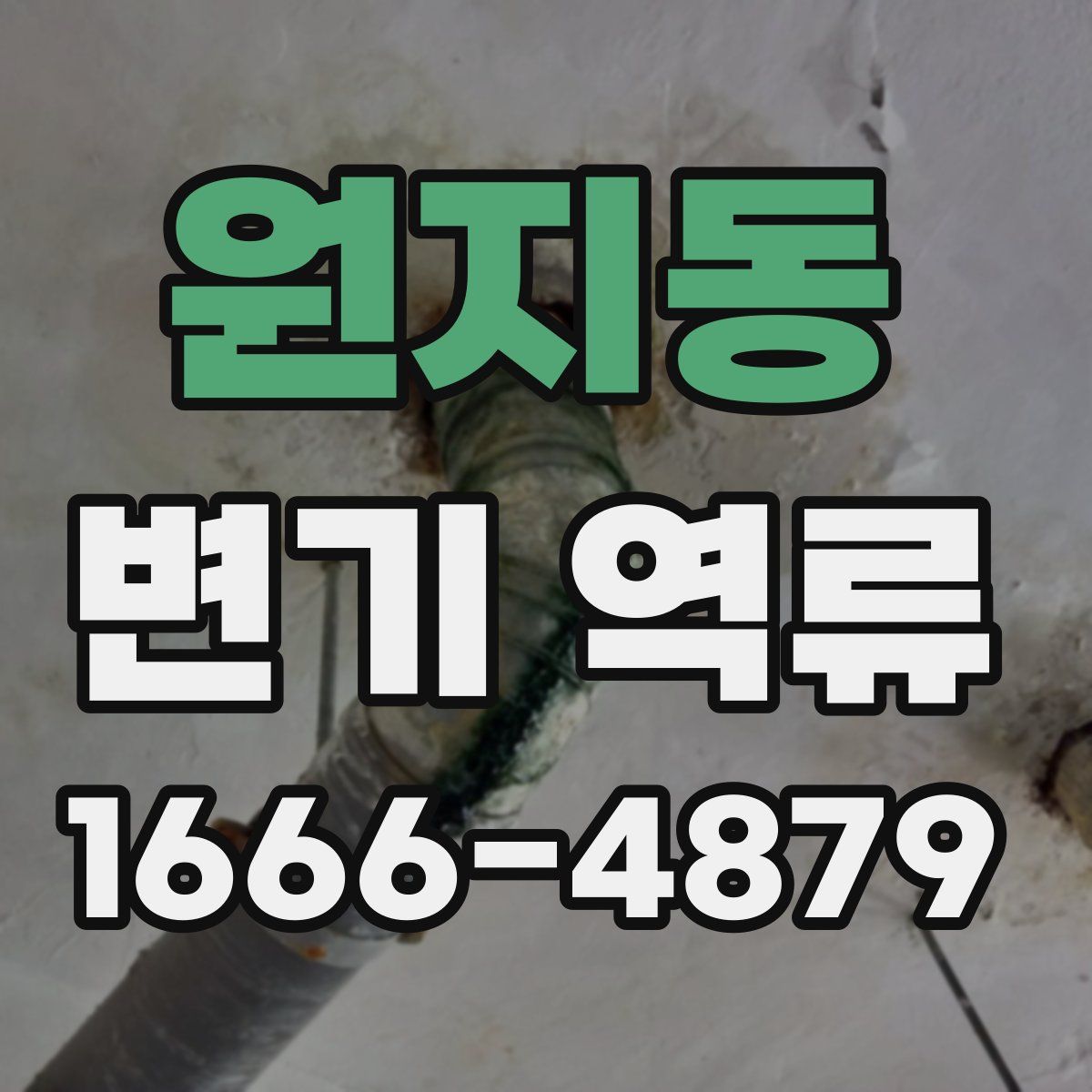 원지동 변기 역류