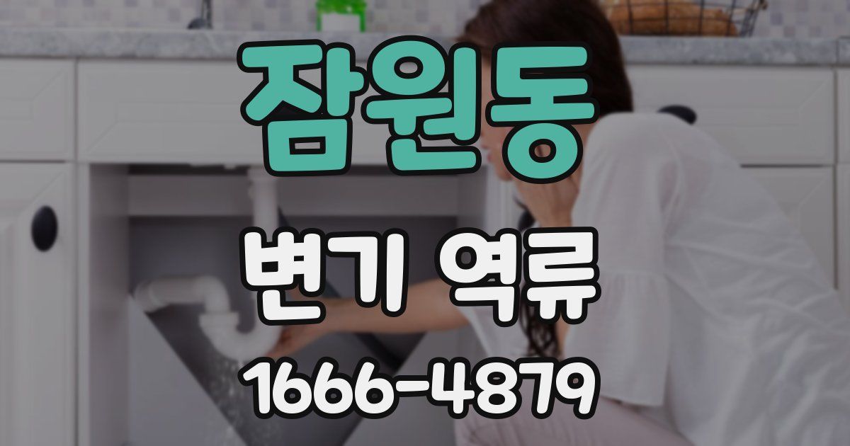 잠원동 변기 역류