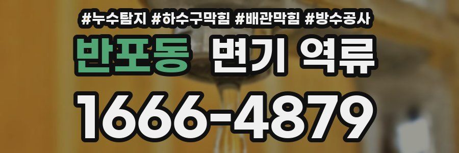 반포동 변기 역류