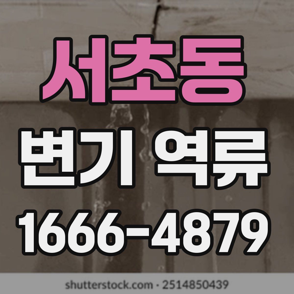 서초동 변기 역류
