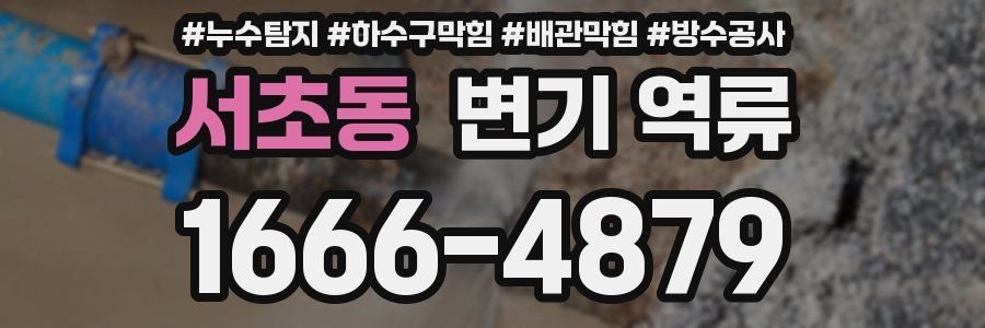 서초동 변기 역류