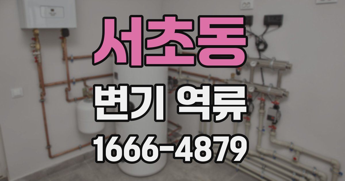 서초동 변기 역류