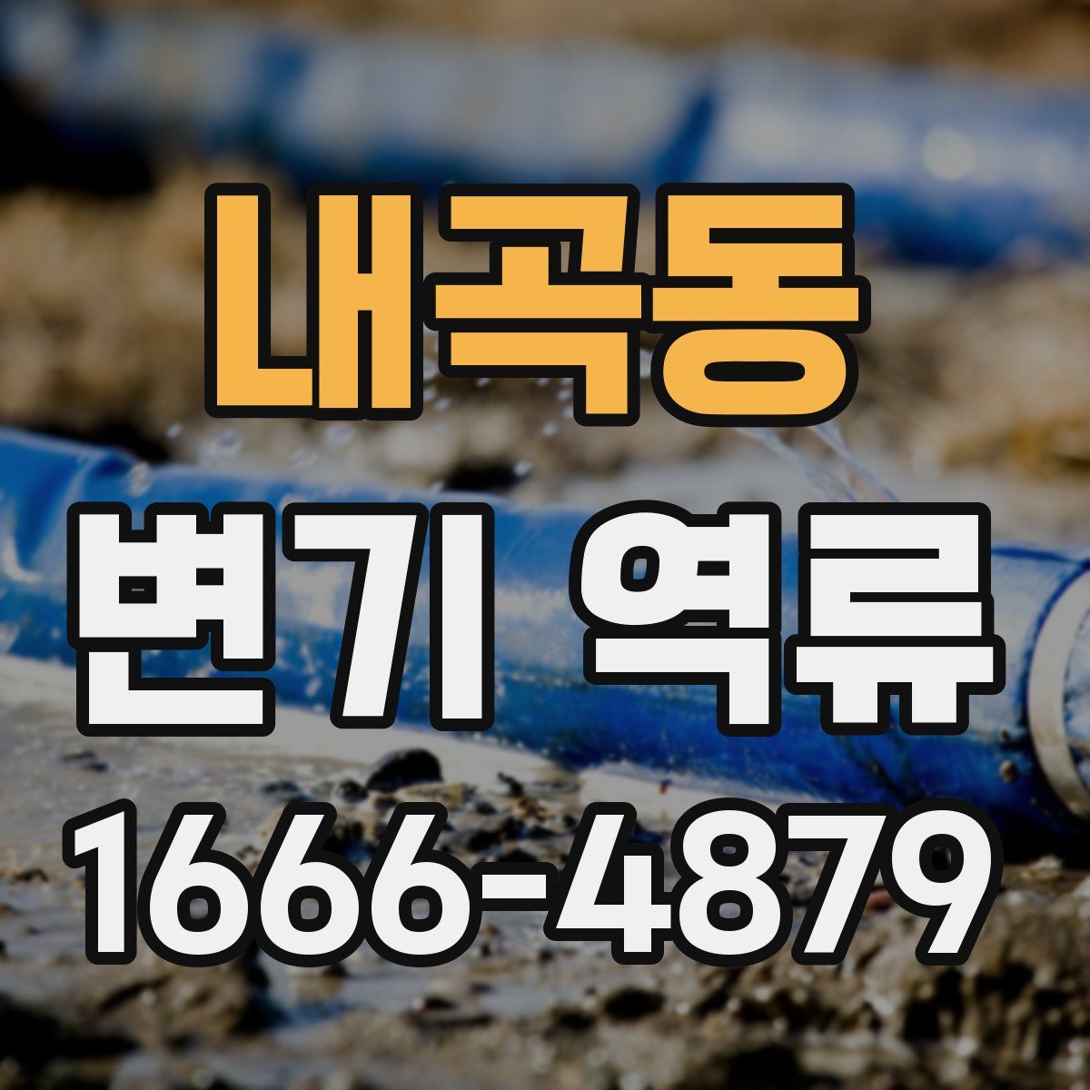 내곡동 변기 역류