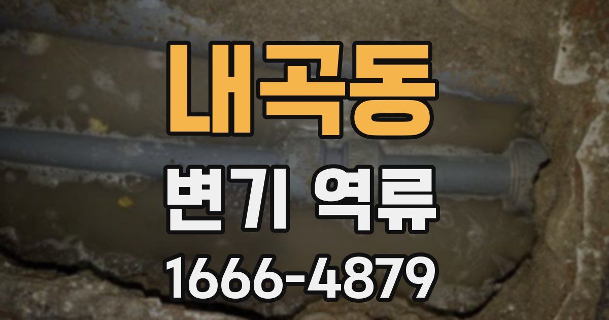 내곡동 변기 역류