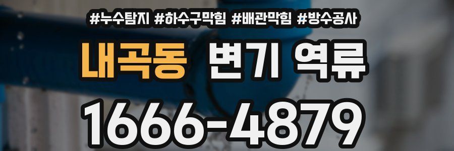 내곡동 변기 역류
