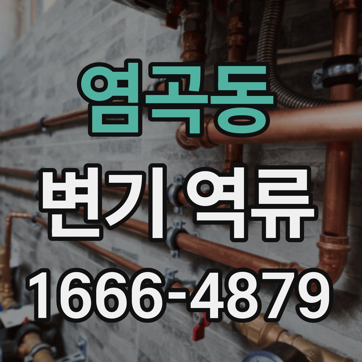 염곡동 변기 역류