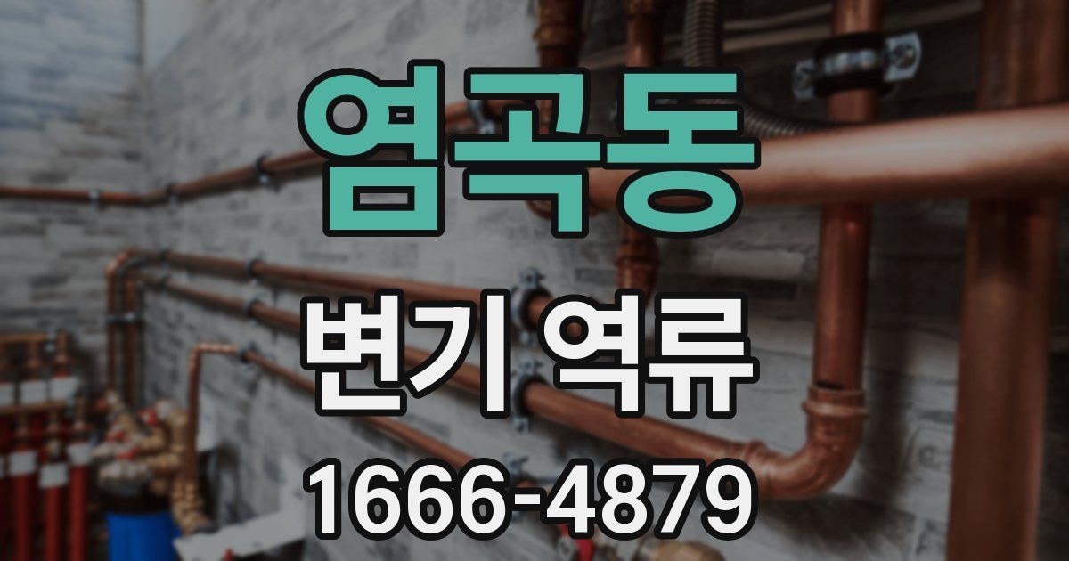 염곡동 변기 역류