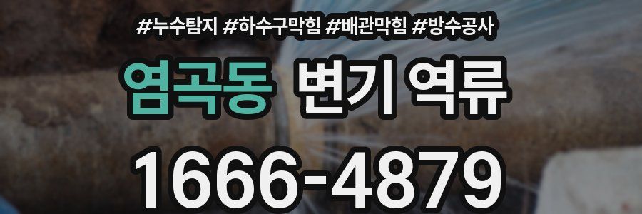 염곡동 변기 역류