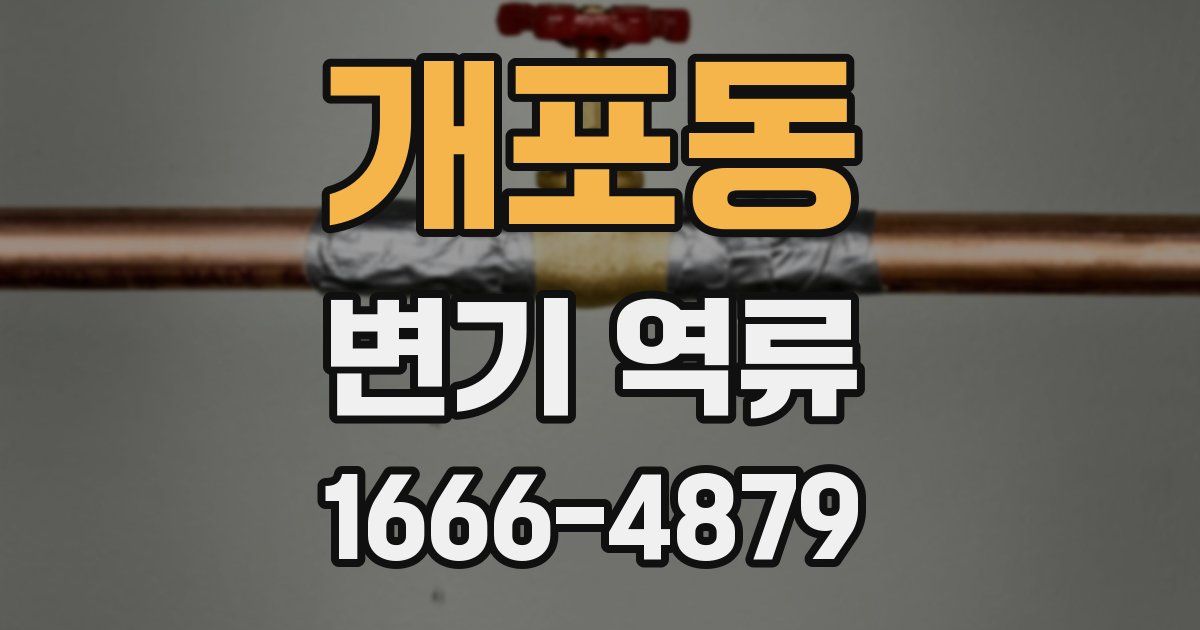 개포동 변기 역류