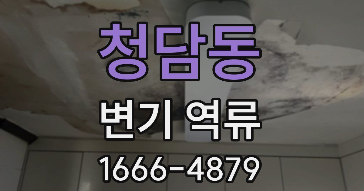 청담동 변기 역류