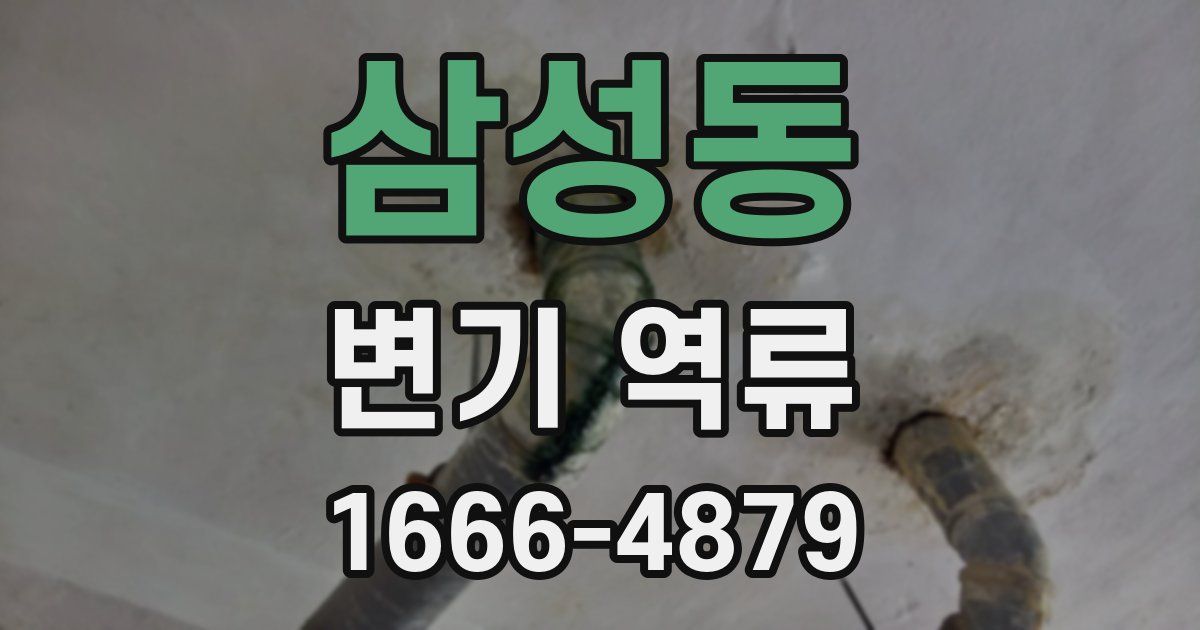 삼성동 변기 역류