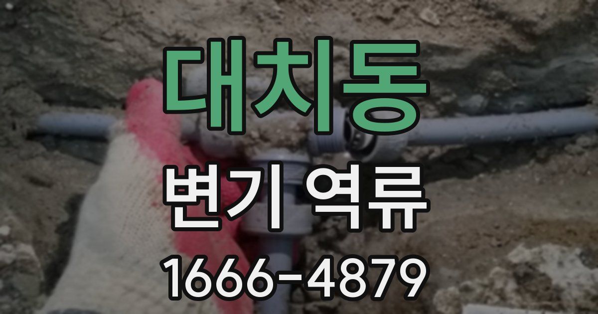 대치동 변기 역류
