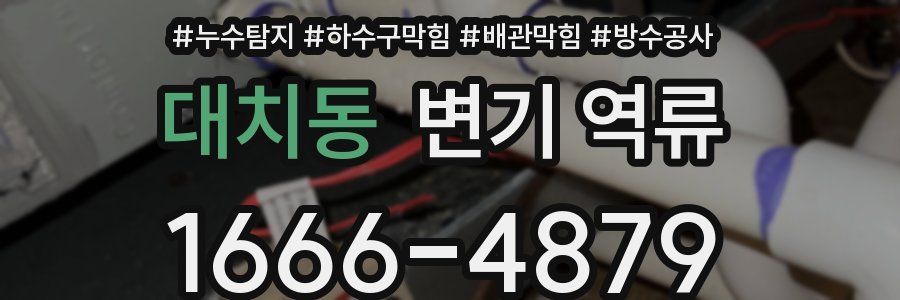 대치동 변기 역류