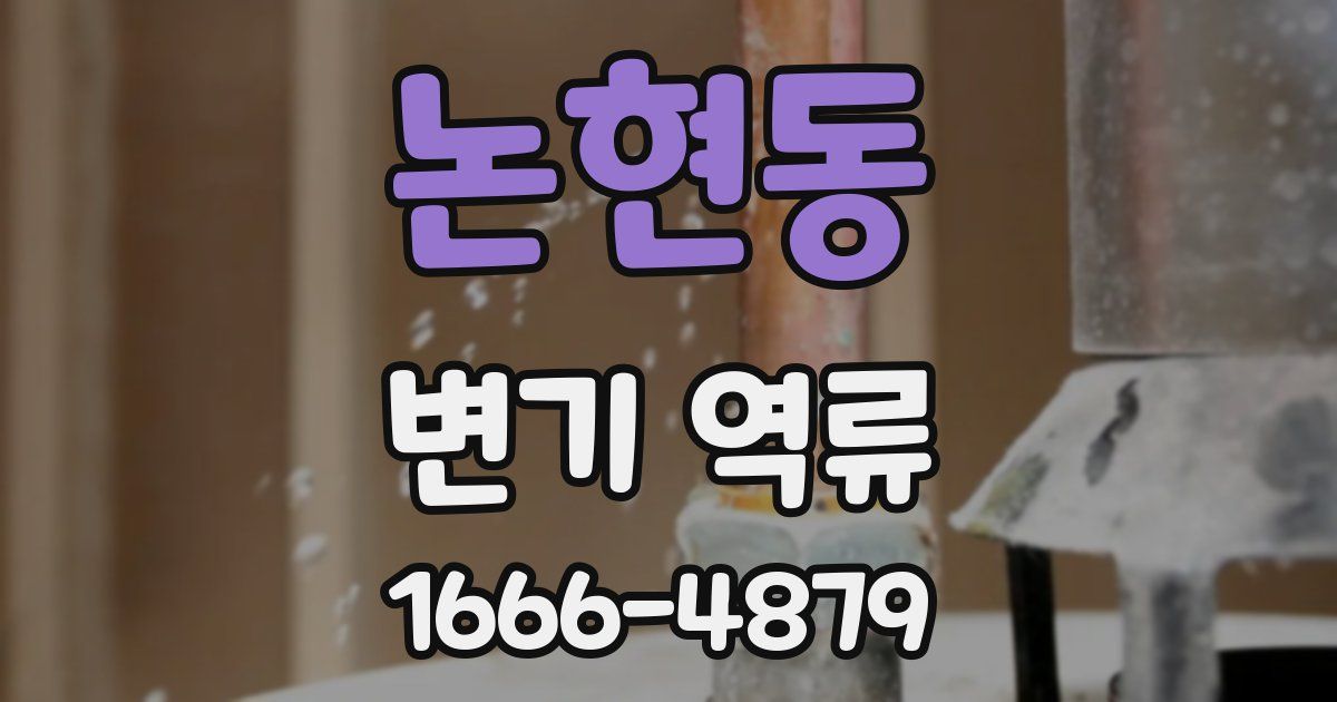 논현동 변기 역류
