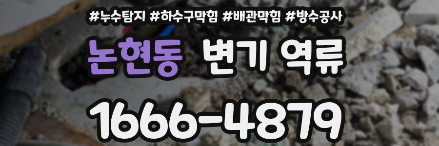 논현동 변기 역류