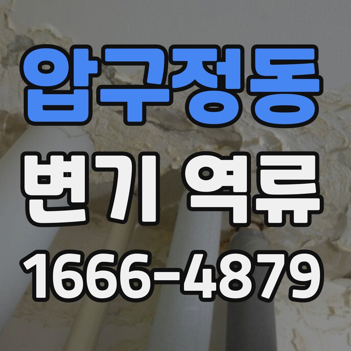 압구정동 변기 역류