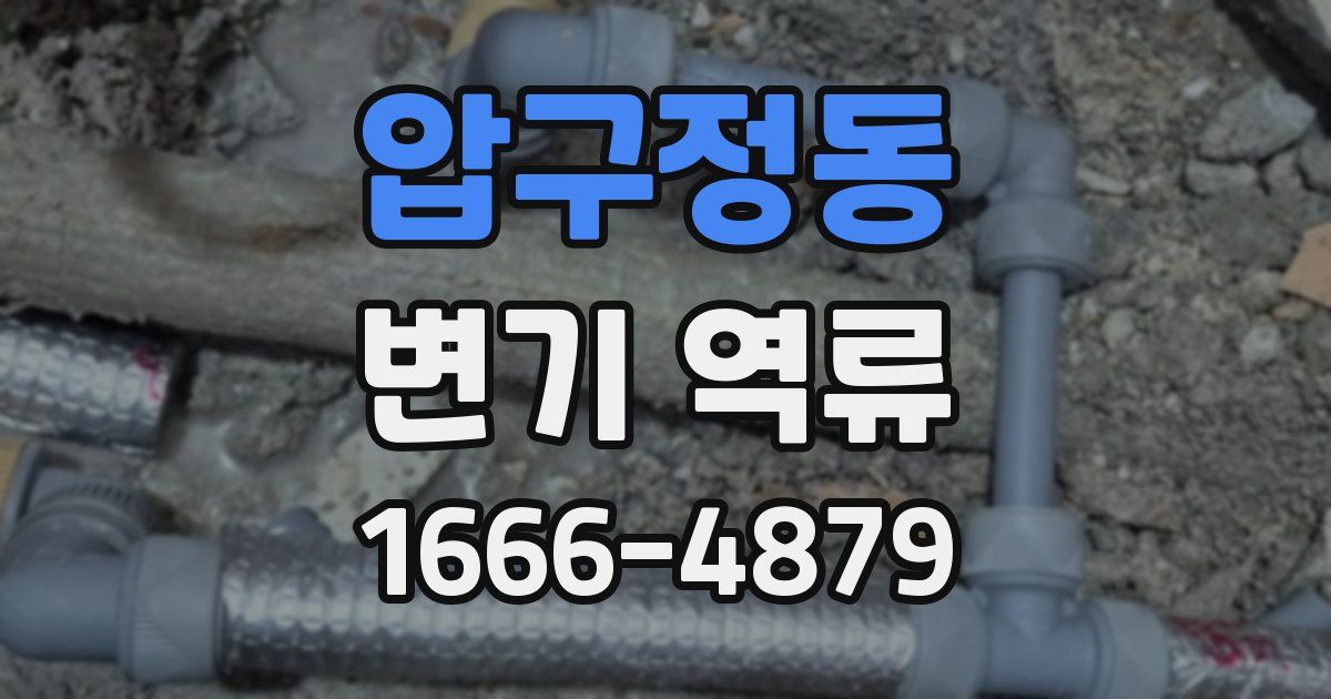 압구정동 변기 역류