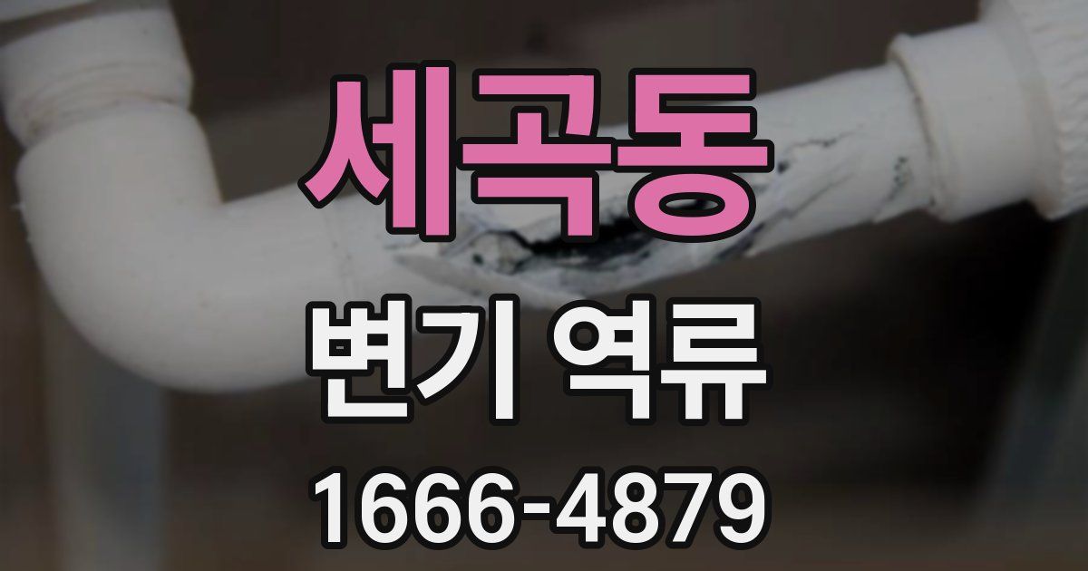 세곡동 변기 역류