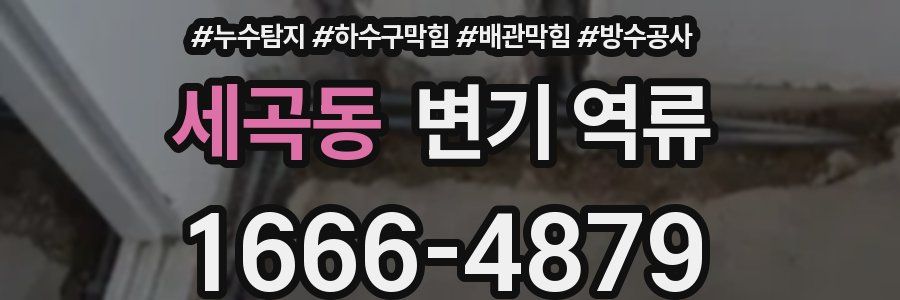 세곡동 변기 역류