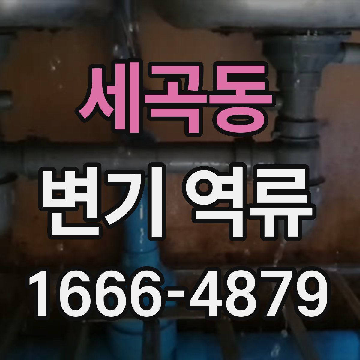 세곡동 변기 역류