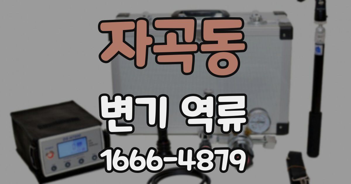 자곡동 변기 역류