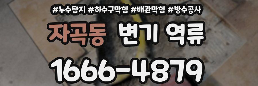 자곡동 변기 역류