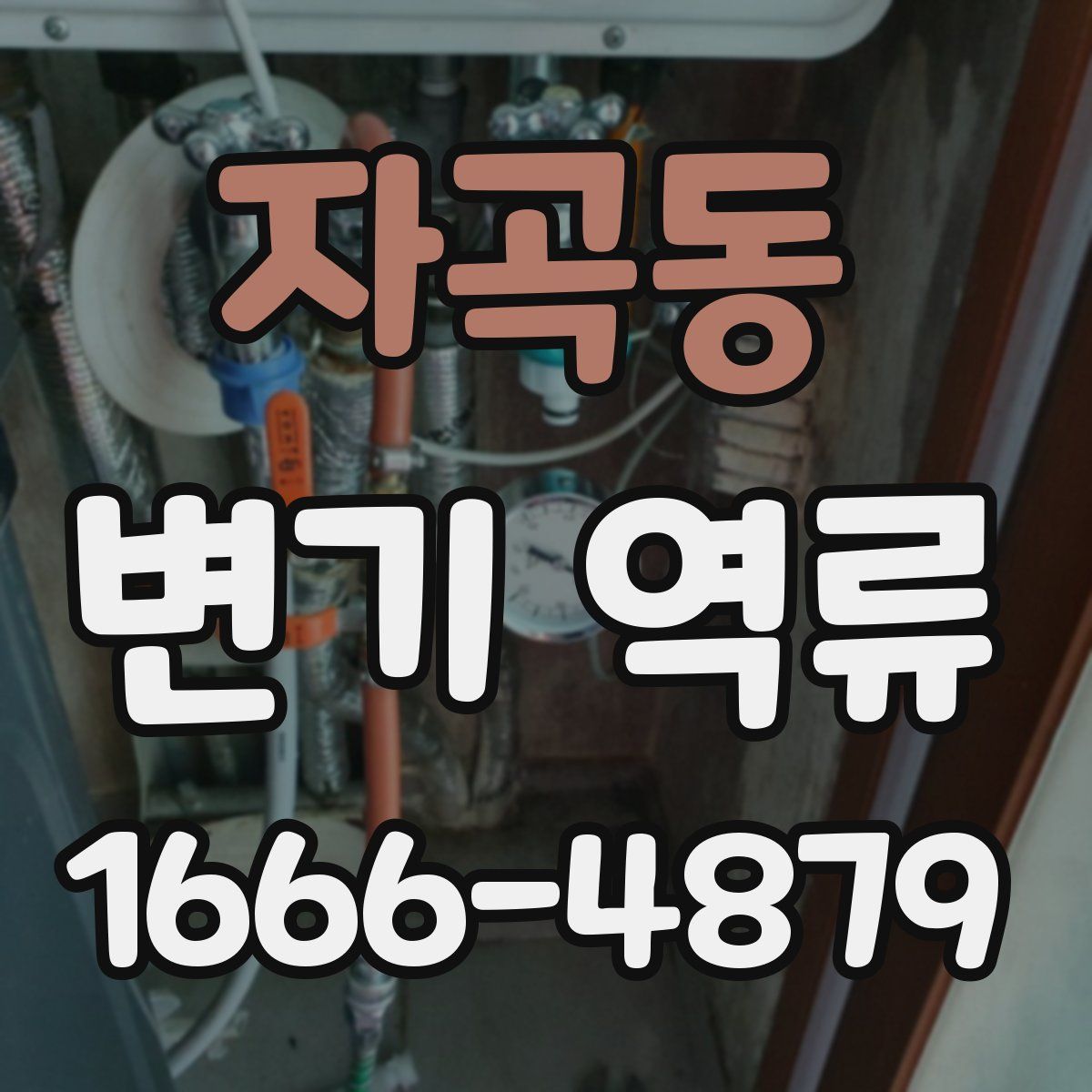 자곡동 변기 역류