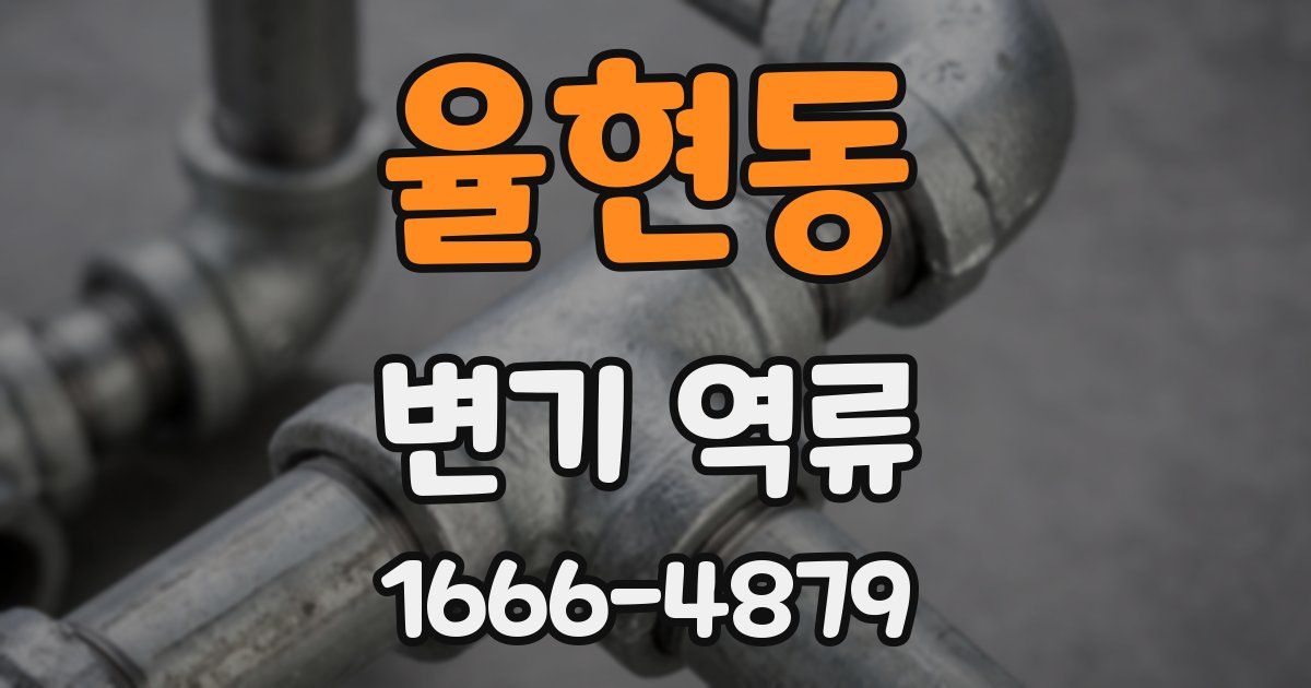 율현동 변기 역류