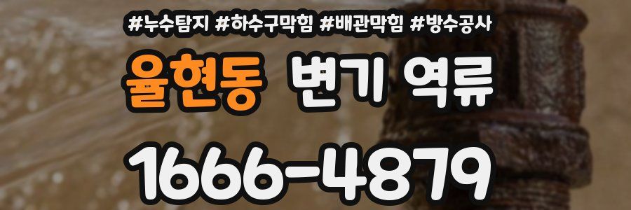 율현동 변기 역류
