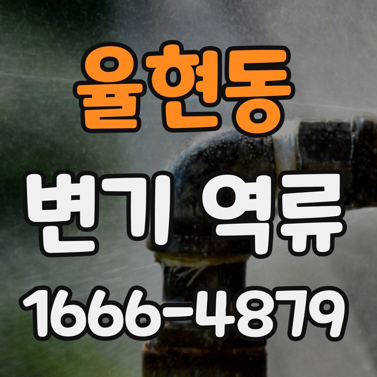율현동 변기 역류
