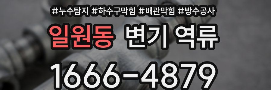 일원동 변기 역류