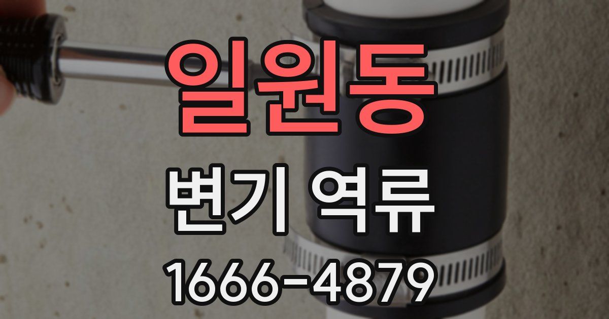 일원동 변기 역류