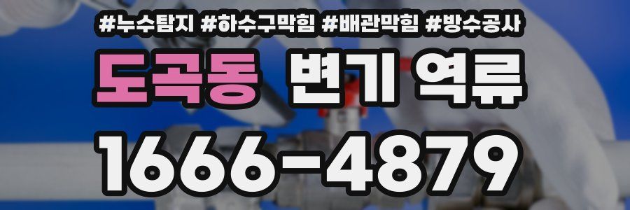 도곡동 변기 역류