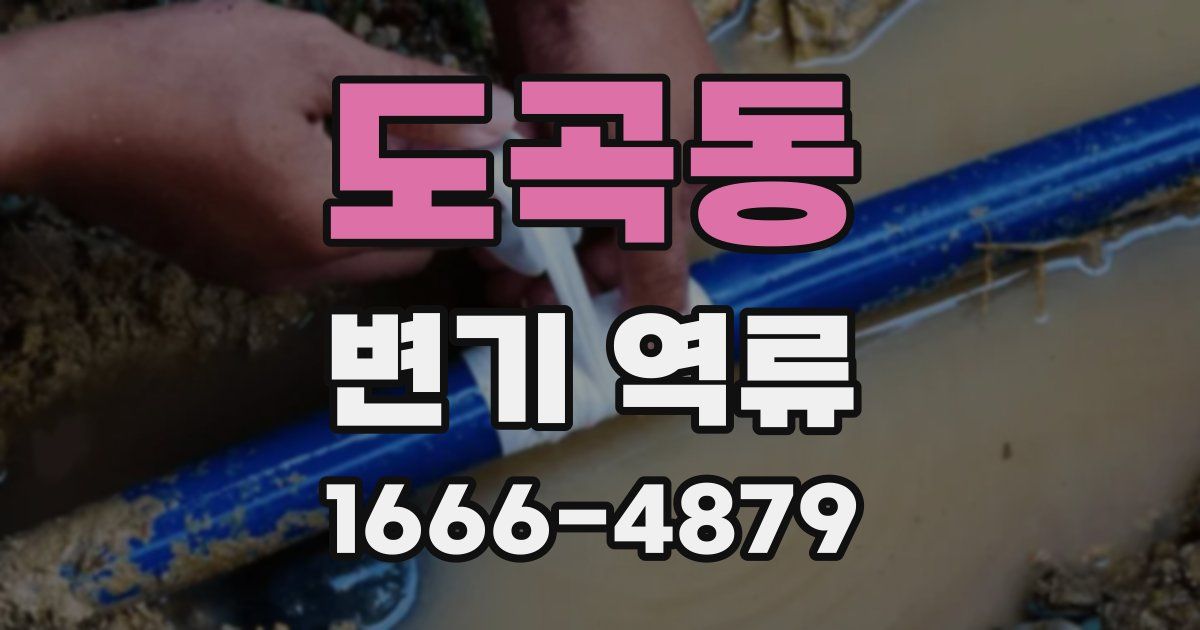 도곡동 변기 역류