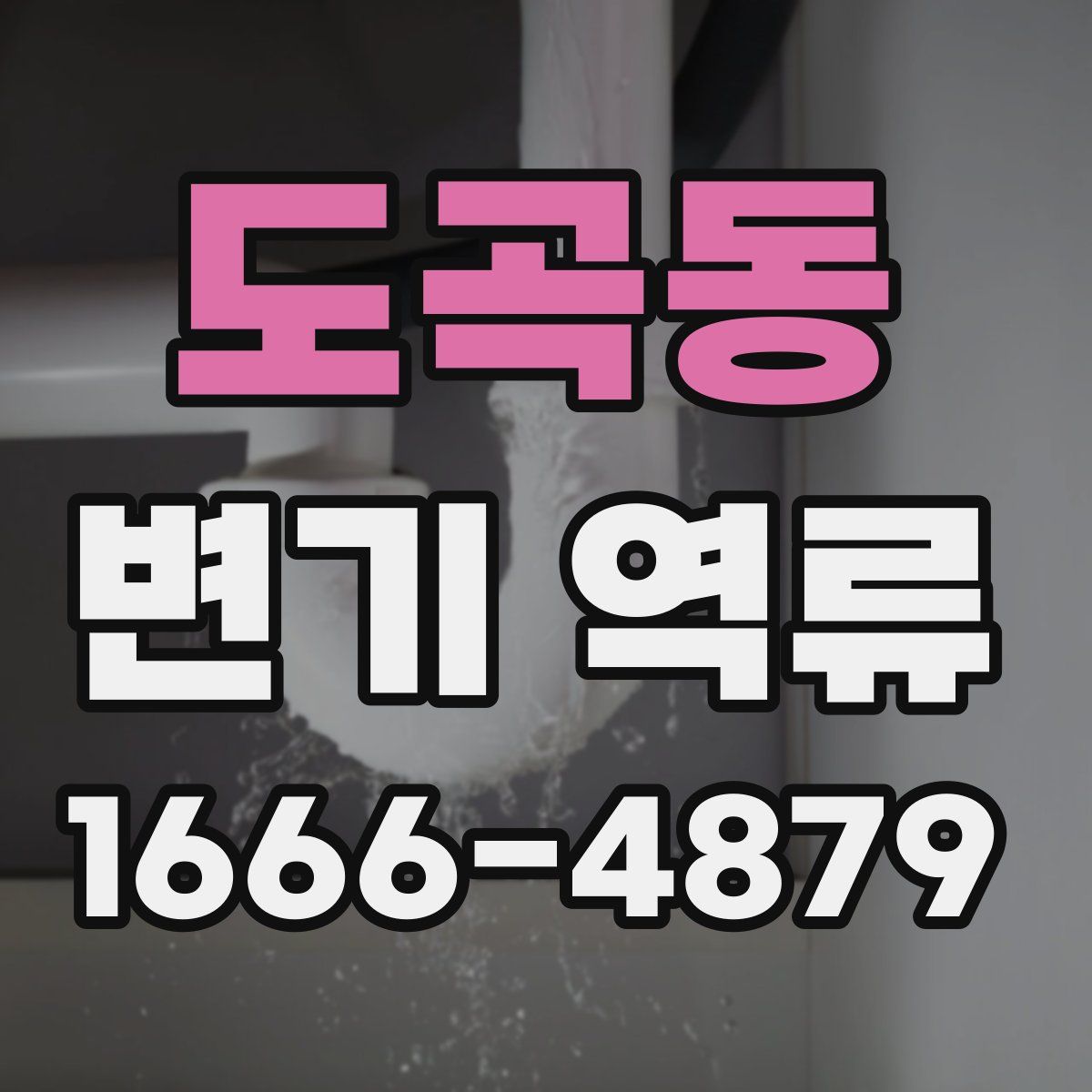 도곡동 변기 역류