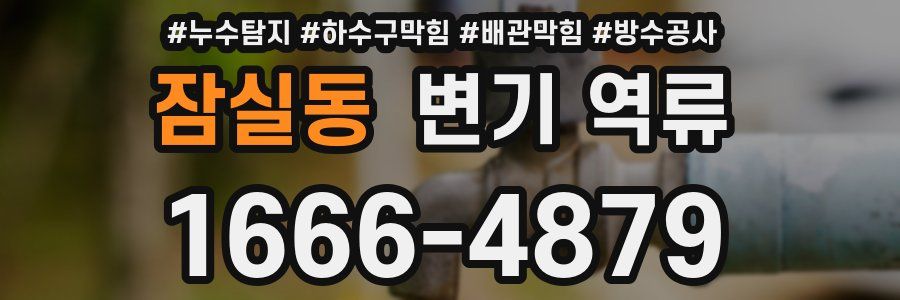 잠실동 변기 역류