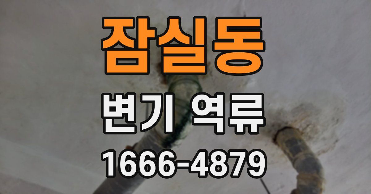 잠실동 변기 역류