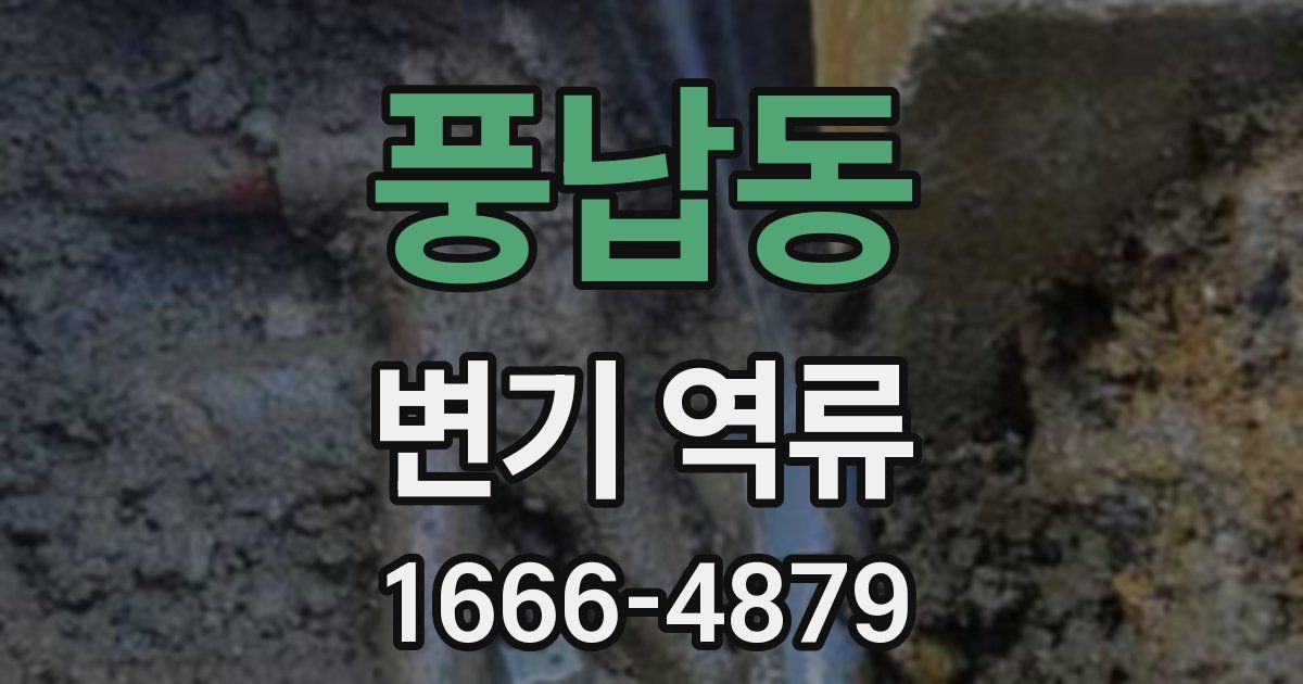 풍납동 변기 역류