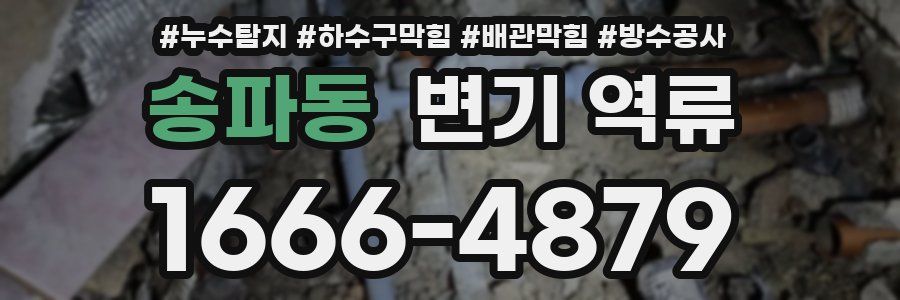 송파동 변기 역류