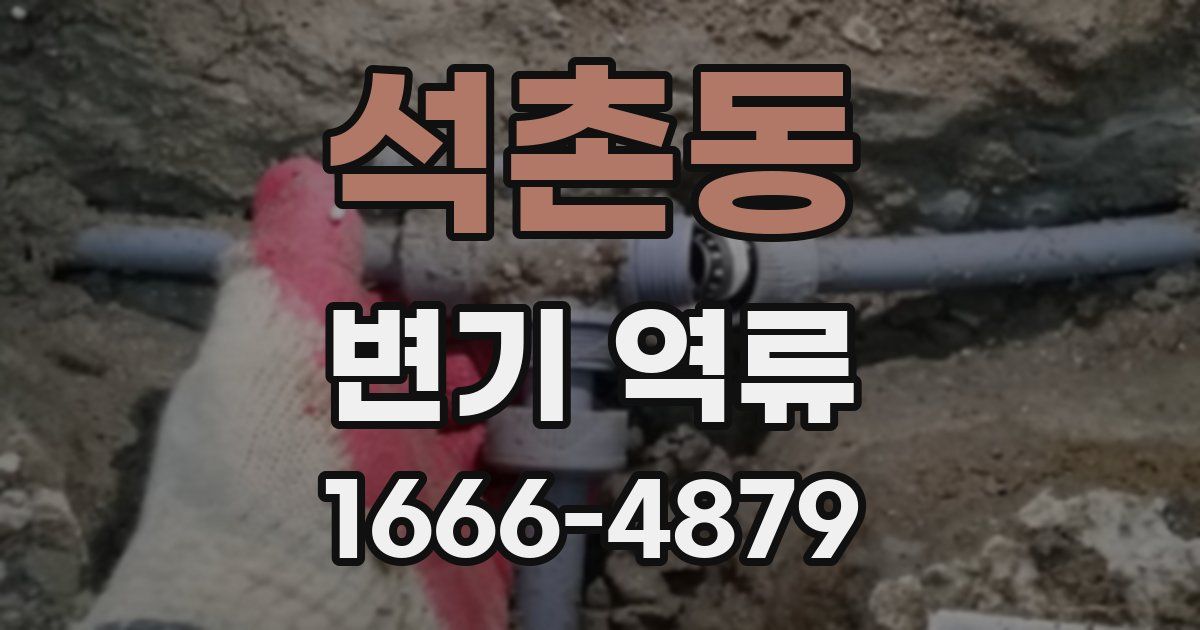 석촌동 변기 역류